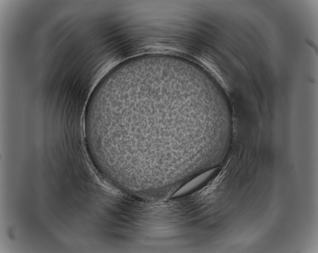 X0000097770891200804041150