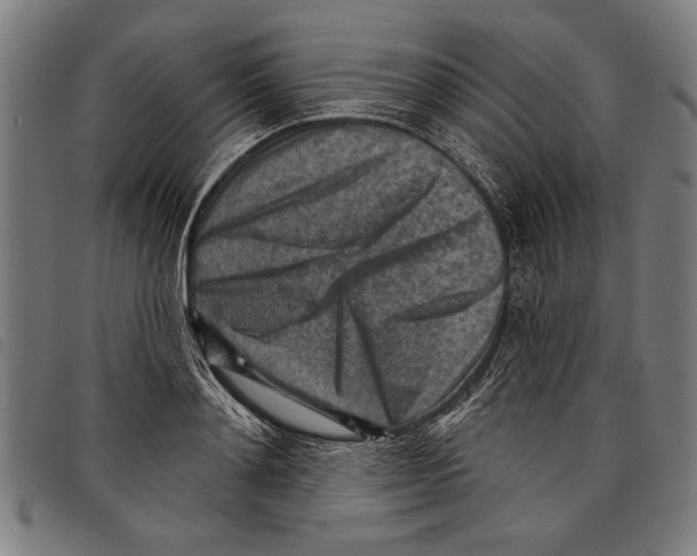 X0000097770892200804041150