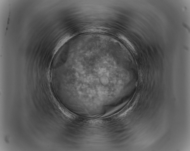 X0000097770893200804041150