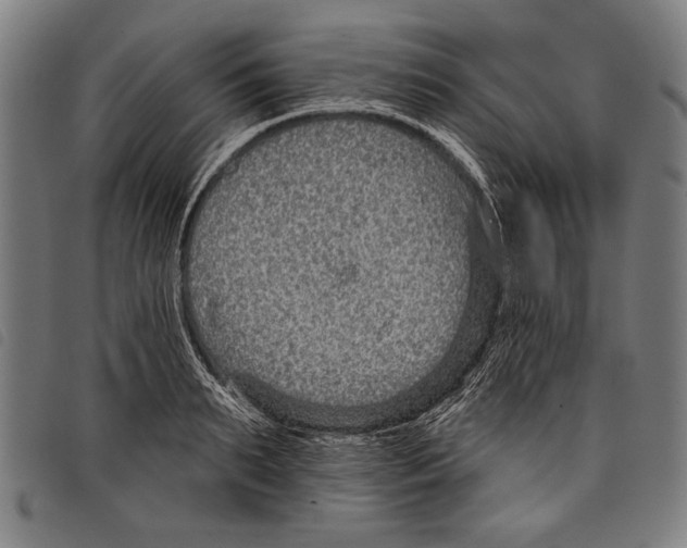 X0000097770895200804041150