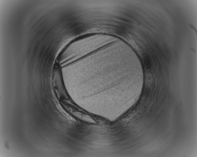 X0000097770896200804041150