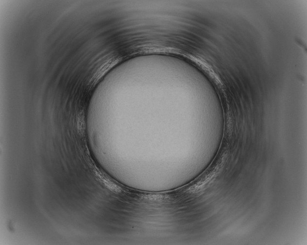 X0000097770897200804041150