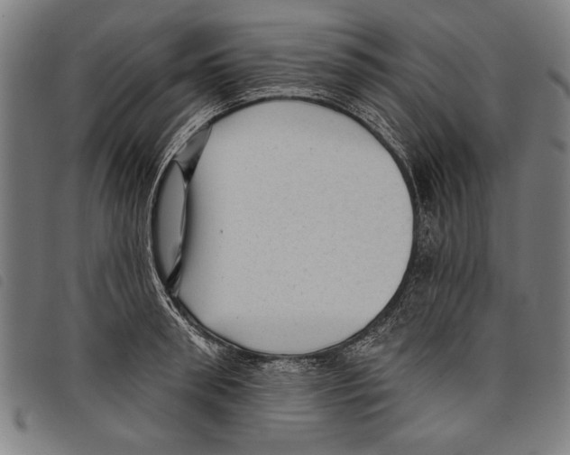 X0000097770898200804041150