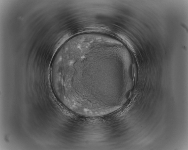 X0000097770899200804041150