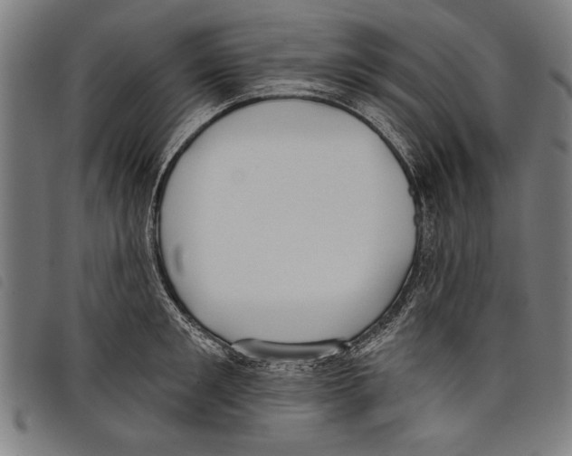 X0000097770901200804041149