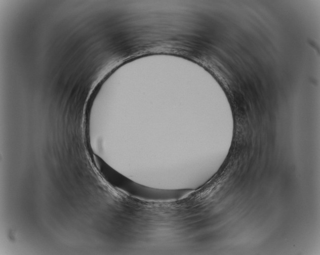 X0000097770902200804041149