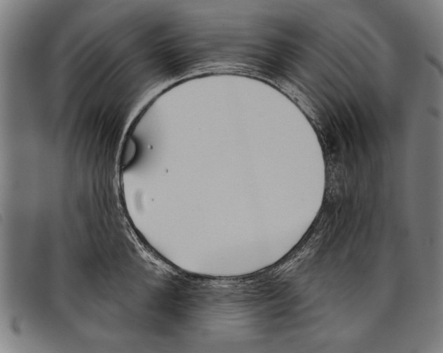 X0000097770904200804041149