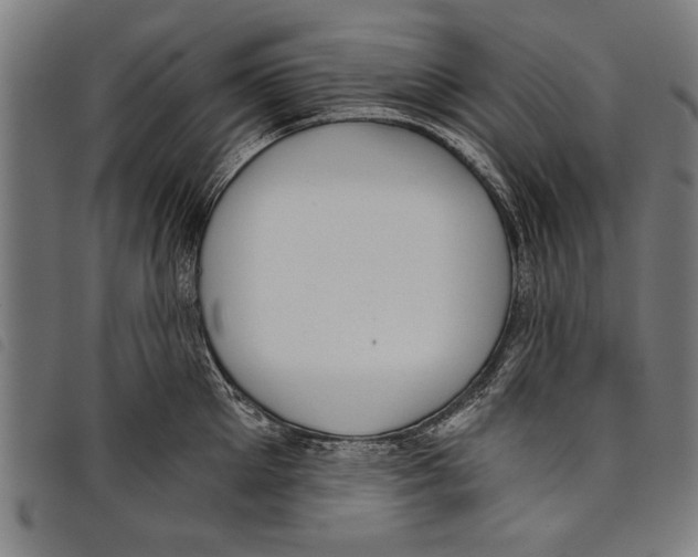 X0000097770905200804041149