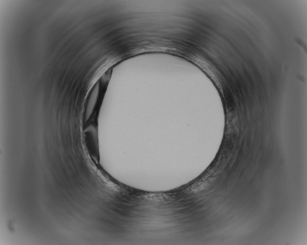 X0000097770906200804041149