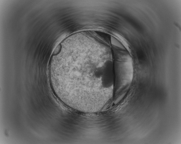 X0000097770907200804041149