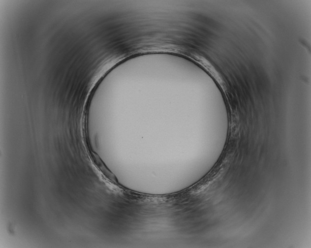 X0000097770909200804041149