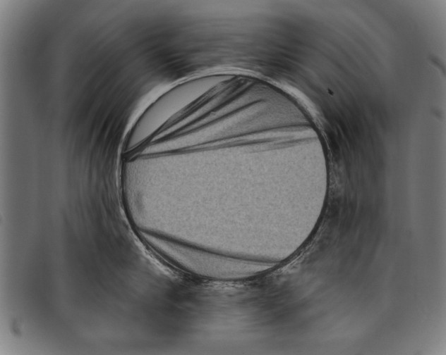 X0000097770910200804041149