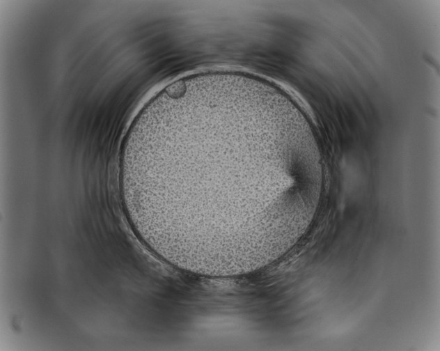 X0000097770911200804041149
