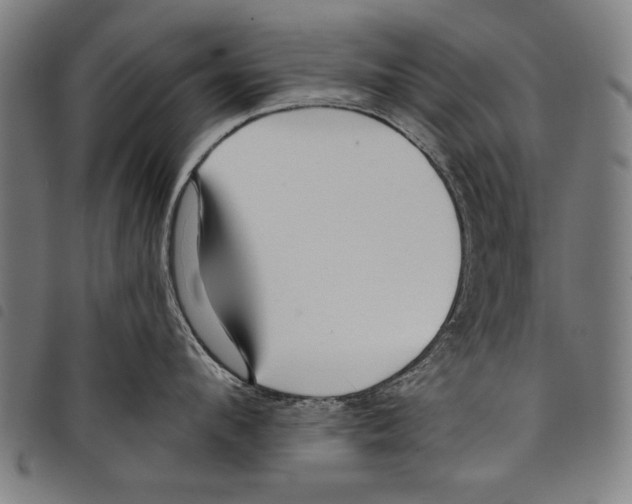 X0000097770912200804041149