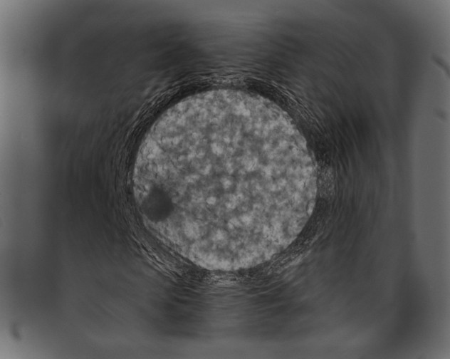 X0000097770913200804041149