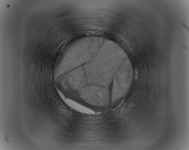 X0000097770915200804041149