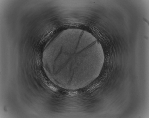 X0000097770916200804041149