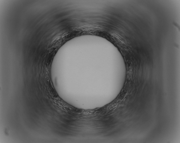 X0000097770917200804041149