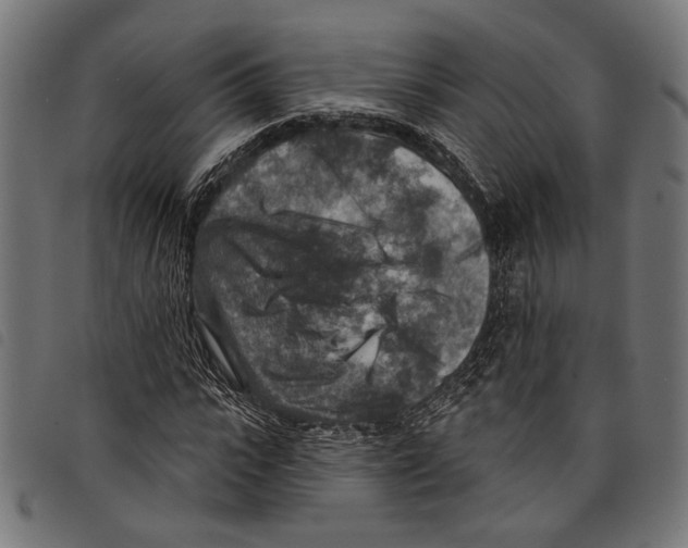 X0000097770919200804041149