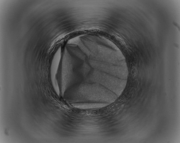 X0000097770920200804041149