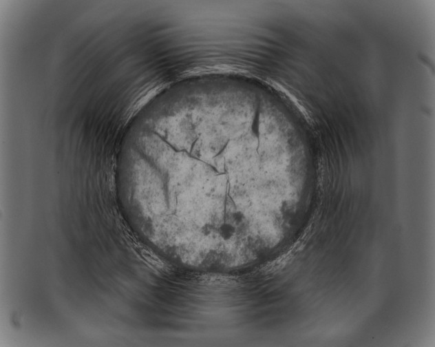 X0000097770921200804041149
