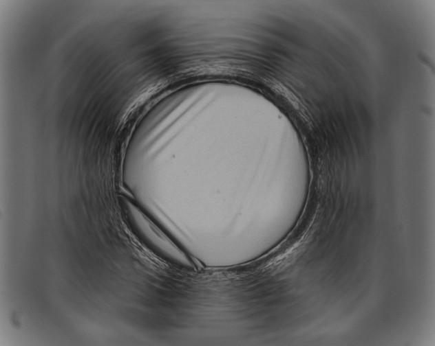 X0000097770922200804041149