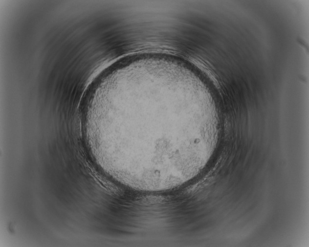 X0000097770925200804041149