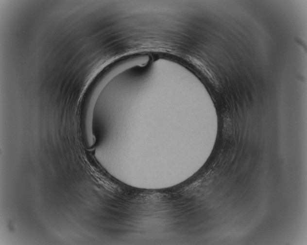 X0000097770926200804041149