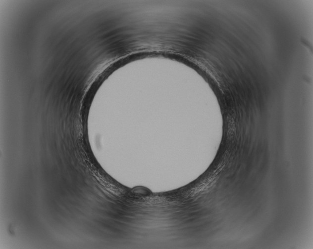 X0000097770927200804041149