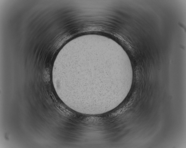 X0000097770929200804041149