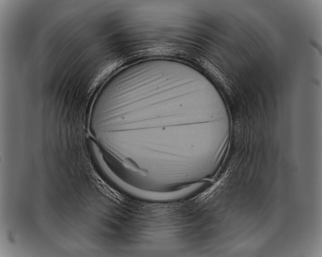 X0000097770930200804041149