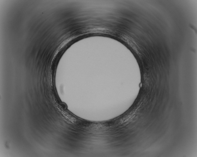 X0000097770931200804041149