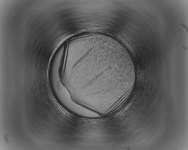 X0000097770932200804041149