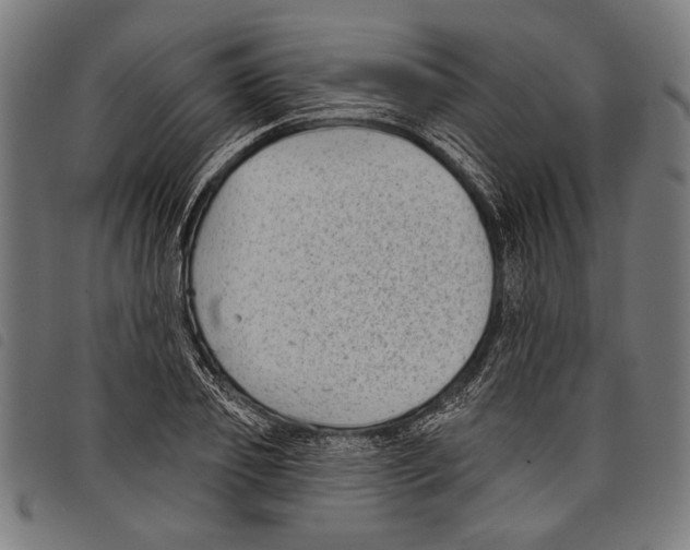 X0000097770933200804041149