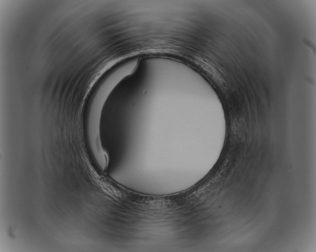 X0000097770934200804041149