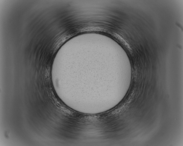X0000097770937200804041149