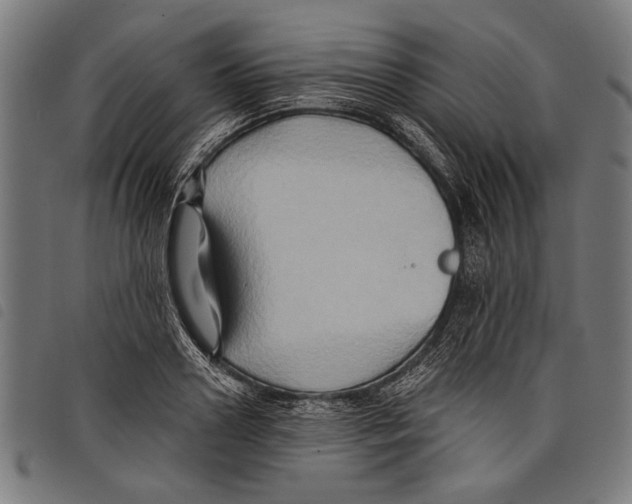 X0000097770938200804041149
