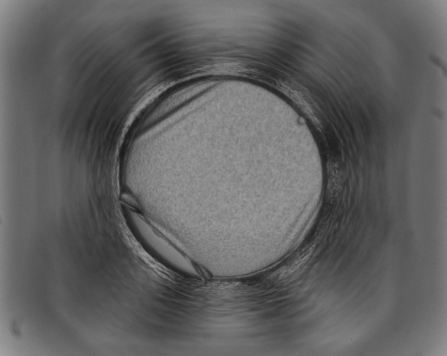 X0000097770939200804041149