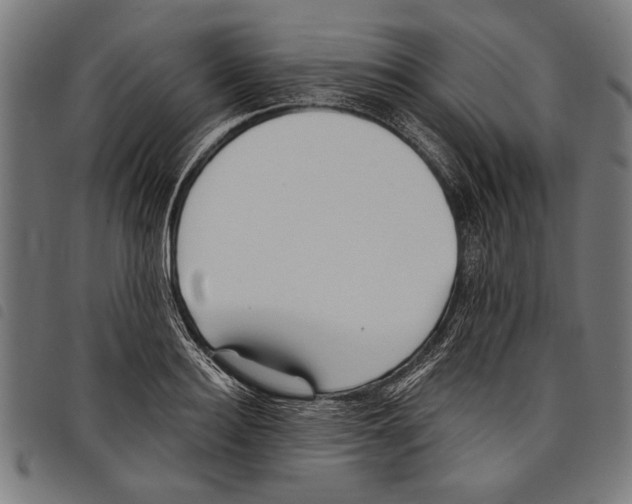 X0000097770940200804041149