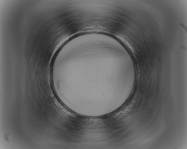 X0000097770941200804041149