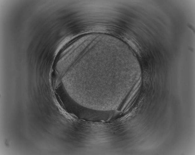 X0000097770944200804041149