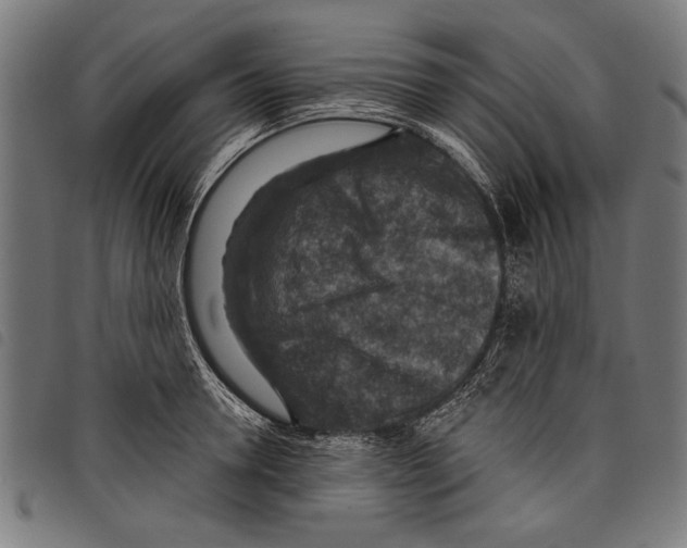 X0000097770946200804041149