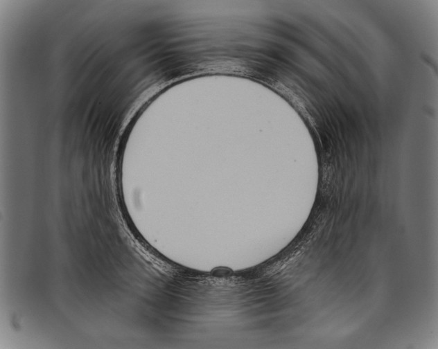 X0000097770947200804041149