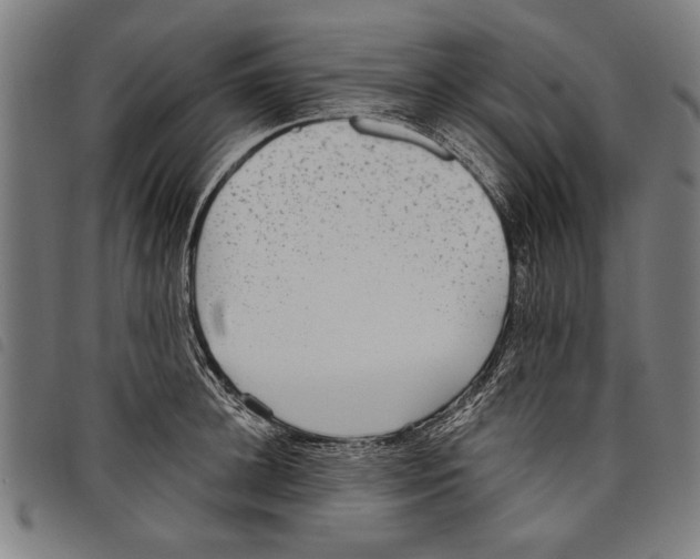 X0000097770948200804041149