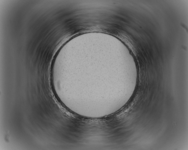 X0000097770949200804041149