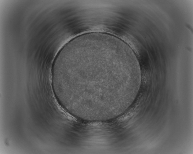 X0000097770950200804041149