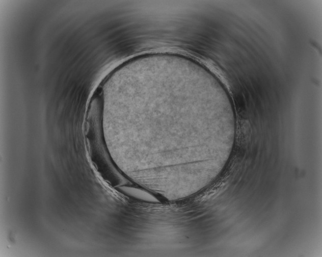 X0000097770951200804041149