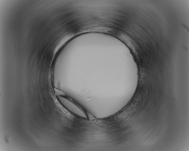 X0000097770952200804041149