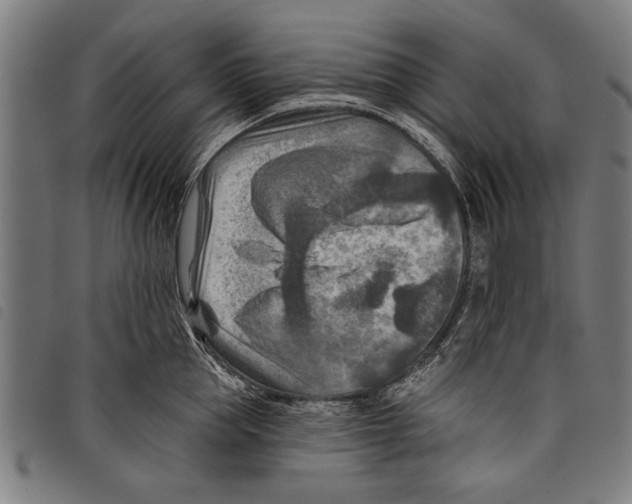 X0000097770953200804041149
