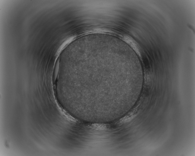 X0000097770954200804041149